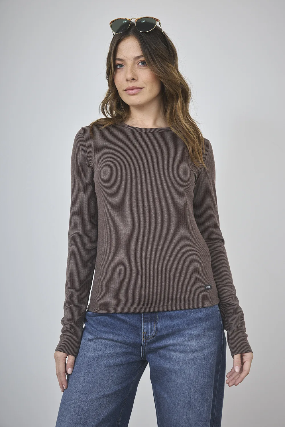 a-96-1.webp ART. A-96 | REMERA MANGA LARGA CHOCOLATE MORLEY - Imagen 1